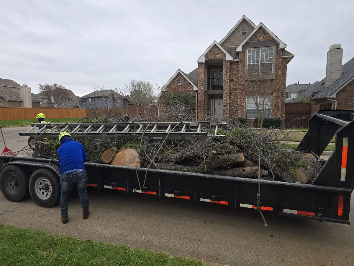 Expert Crown Reduction with proper safety equipment in Sawyerville